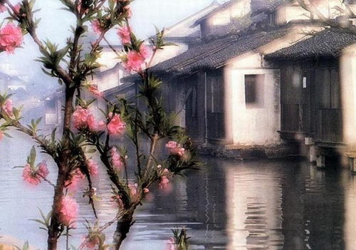 浙江乌镇 