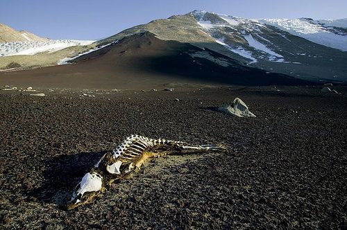 组图:地球上最像外星的九大地方