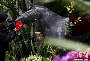 北京植物园举行马