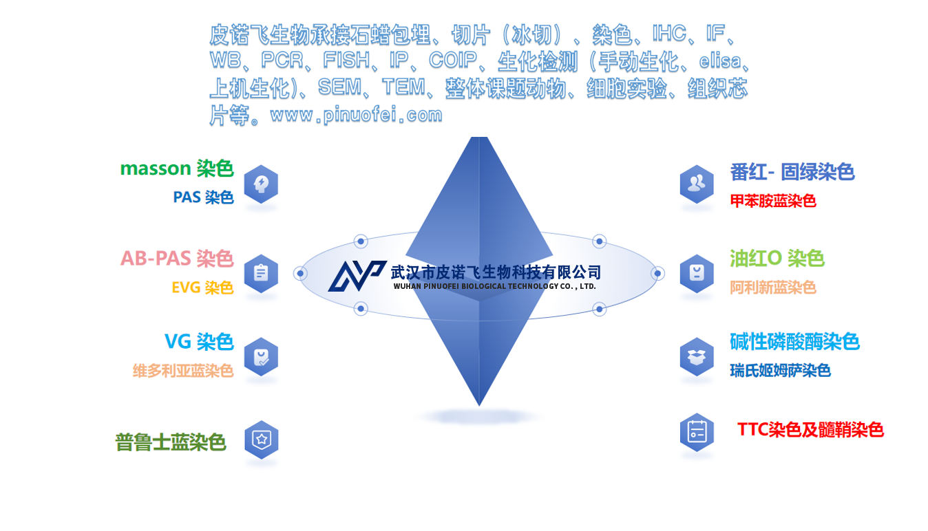 说说：病理实验简介